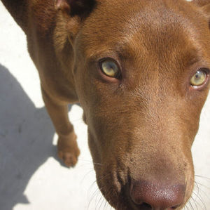 Meet your Posher, Vicky